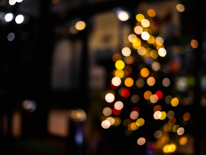 outdoor holiday lights